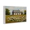 Stupell Industries Cottagecore Daisy Field Framed Giclee, design by Franklyn Gregory